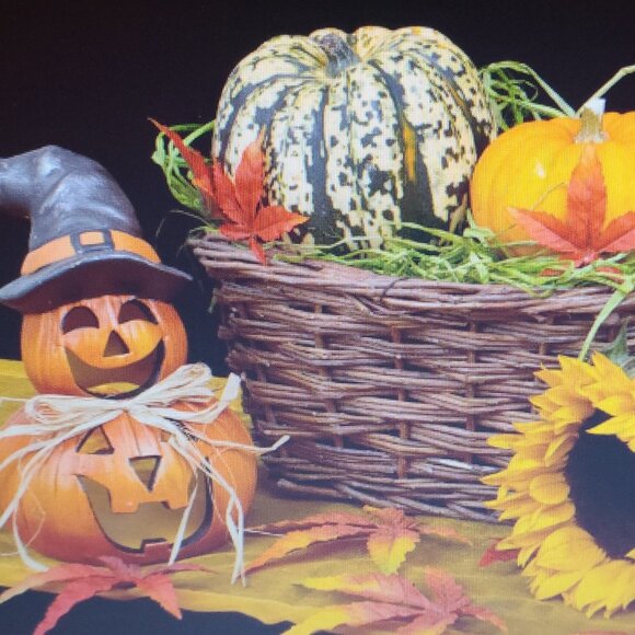HALLOWEEN OUTFITS FOR ALL AGES IN DIFFERENT SIZES AND STYLES-HAPPY FALL … - Picture 1 of 1
